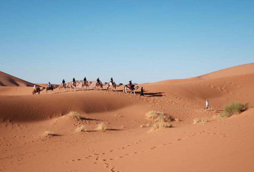 Camels carry passengers and belongings across the desert in Tunisia