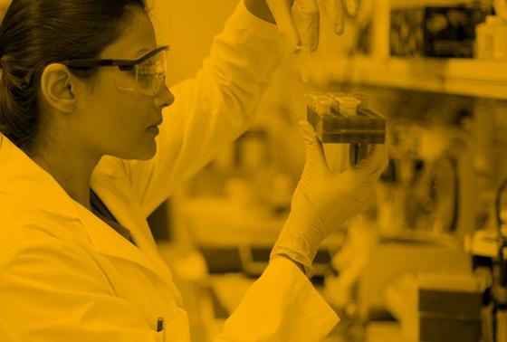 A woman works in a lab