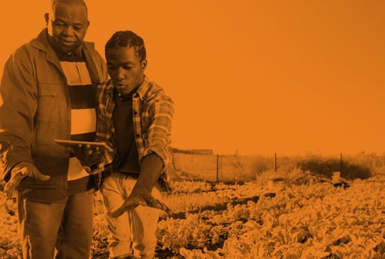 Two men conduct field research in South Africa