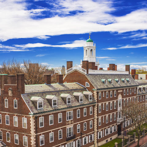 Red brick buildings and a bell tower under a partly cloudy blue sky next to a street with cars, pedestrians, and trees 
