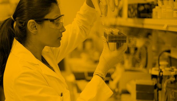 Employment Service A woman works in a lab